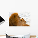 Lion Couple Lying in the Snow Wall Mural