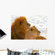 Lion Couple Lying in the Snow Wall Mural