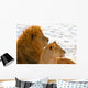 Lion Couple Lying in the Snow Wall Mural