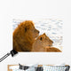 Lion Couple Lying in the Snow Wall Mural