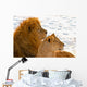 Lion Couple Lying in the Snow Wall Mural