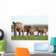 Elephants Waterhole Wall Mural