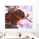 Easter Bunny Wall Mural