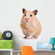 Pet Decals - Hamster Wall Decal