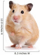 Pet Decals - Hamster Wall Decal