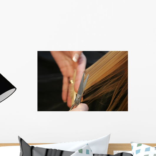 hairdressing Wall Mural