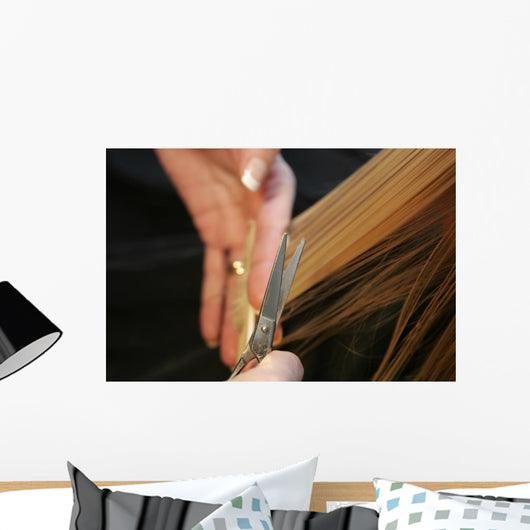 hairdressing Wall Mural