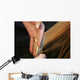 hairdressing Wall Mural