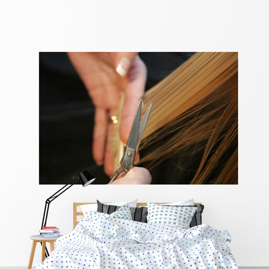 hairdressing Wall Mural
