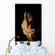 Cutting Hair Wall Mural