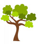 Play Explore Green Tree