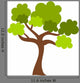 Play Explore Green Tree