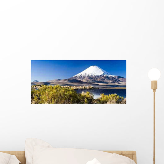 Volcano Parinacota and Lago Wall Decal