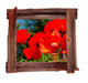 Old Wood Frame Red