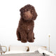 Labradoodle Puppy Wall Decal