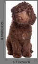 Labradoodle Puppy Wall Decal