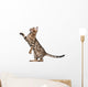 Bengal Kitten 5 Months Wall Decal