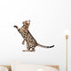 Bengal Kitten 5 Months Wall Decal
