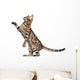 Bengal Kitten 5 Months Wall Decal