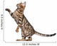 Bengal Kitten 5 Months Wall Decal
