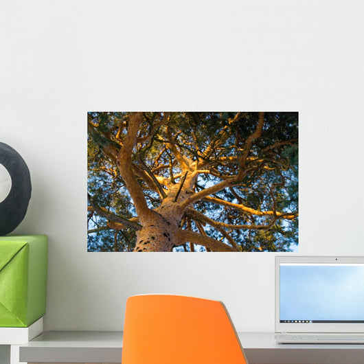Tree Wall Mural
