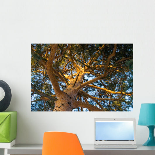 Tree Wall Mural