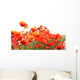 Red Poppies Wall Mural