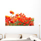 Red Poppies Wall Mural