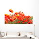 Red Poppies Wall Mural