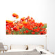Red Poppies Wall Mural