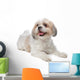 Shih Tzu Wall Decal
