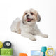 Shih Tzu Wall Decal