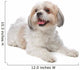 Shih Tzu Wall Decal