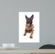 Belgian Belgian Shepherd Dog Wall Decal