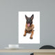 Belgian Belgian Shepherd Dog Wall Decal