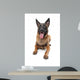 Belgian Belgian Shepherd Dog Wall Decal