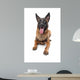 Belgian Belgian Shepherd Dog Wall Decal