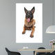 Belgian Belgian Shepherd Dog Wall Decal
