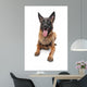 Belgian Belgian Shepherd Dog Wall Decal