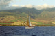 Maui Sailing