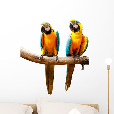 Colourful Parrot Bird Sitting Wall Decal shown on a wall