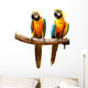 Colourful Parrot Bird Sitting on the Perch Wall Decal