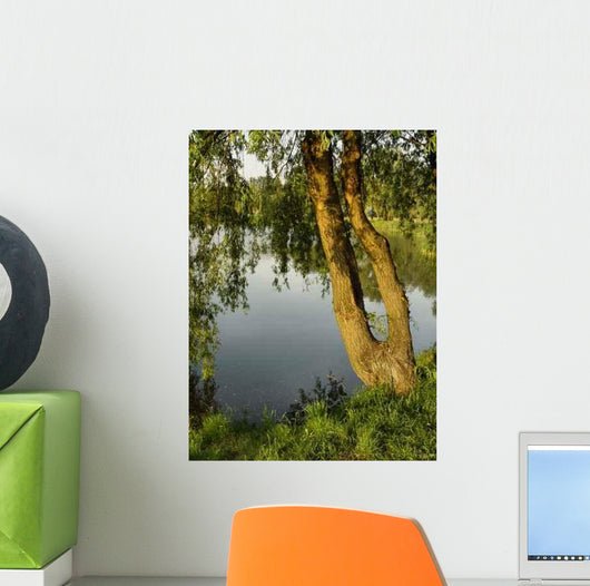 River Wall Decal Design 1