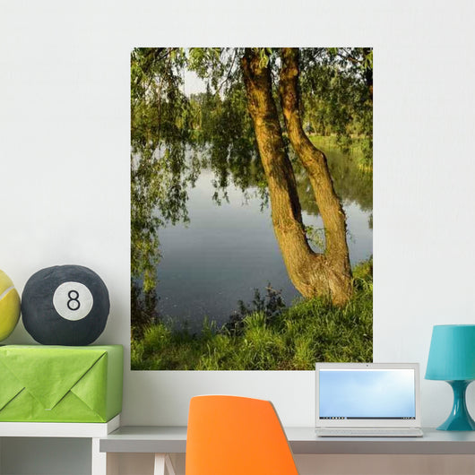 River Wall Decal Design 1
