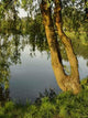 River Wall Decal Design 1