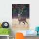 White-tailed Deer Buck Rut Wall Mural