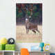 White-tailed Deer Buck Rut Wall Mural