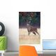 White-tailed Deer Buck Rut Wall Mural