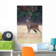 White-tailed Deer Buck Rut Wall Mural