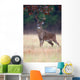 White-tailed Deer Buck Rut Wall Mural